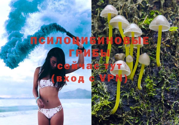 крисы Лиски