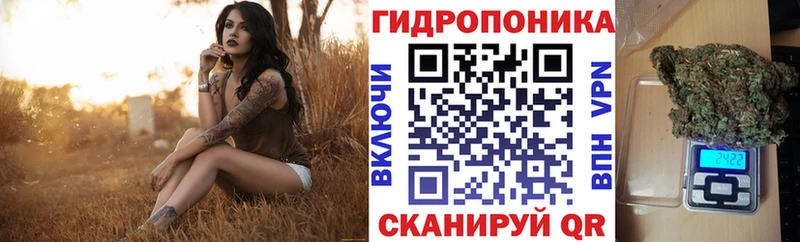 Шишки марихуана OG Kush  Купить  Приволжский 